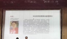 深圳南山王先生最新爆料,揭秘南山最新动态
