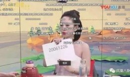 泰国灰产爆料大王视频,灰产爆料大王视频深度解析