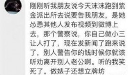 小三爆料导演是谁呀视频,揭秘视频背后的真相