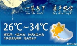 晚安郑州爆料视频下载,晚安郑州视频下载背后的故事