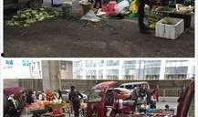 半山小镇爆料最新消息新闻,揭秘神秘事件背后的真相