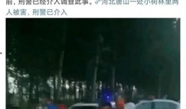 最新爆料唐山事件是真的吗,真相究竟如何？