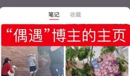 娱乐爆料怎么拍出来的啊