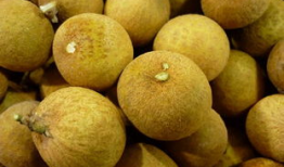 龙眼 在线观看,穿越时空的奇幻之旅在线观看