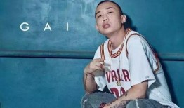 爆料嘻哈猴子视频大全,动感十足，笑料百出！