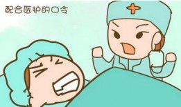 觅圈的视频没人爆料吗,独家爆料，真相尽在此处