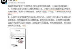 实名爆料小鹏视频,小鹏视频揭露行业黑幕，真相令人震惊！