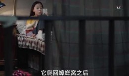 蛇姐最新爆料视频在线,娱乐圈惊人内幕大曝光！