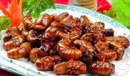 最新新康饭菜爆料图片高清,高清爆料图揭示美食新境界