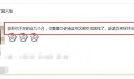 王者网友爆料视频大全,揭秘游戏幕后精彩瞬间