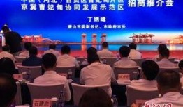 曹妃甸新闻爆料,揭秘重大事件背后真相