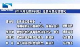 湖北媒体新闻爆料,重大事件引发社会关注