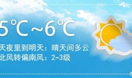 成都晚安爆料新闻,揭秘城市夜生活背后的故事