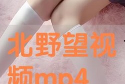 北野望在线视频观看,揭秘日本导演的影视艺术世界