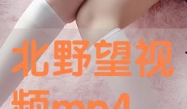 北野望在线视频观看,揭秘日本导演的影视艺术世界