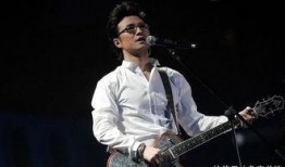 狗崽爆料汪峰视频大全,汪峰视频大全幕后故事揭秘