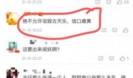 卓伟爆料捐赠视频播放,揭秘捐赠视频背后的感人故事