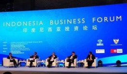 印尼论坛爆料视频,揭秘爆料视频背后的惊人真相