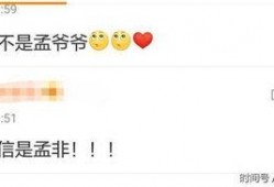 卓伟爆料孟非完整版视频,孟非完整版视频揭秘，背后真相令人震惊