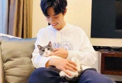 肖战恋情圈内人爆料视频,圈内人亲证，神秘女友身份引热议