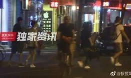 最新爆料王丽坤视频大全,揭秘娱乐圈女神的神秘面纱
