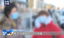 新闻爆料鸡蛋事件,揭秘背后真相与行业反思