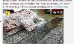 记者爆料野生水母视频大全,记者捕捉野生水母视频大全