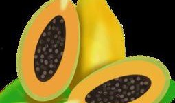 吃瓜素材视频下载免费观看,免费下载观看，尽享素材视频狂欢