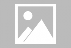 最新爆料猴子皮肤图片,猴子皮肤新图曝光，神秘纹理引发热议