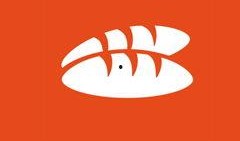 面包爆料视频大全下载软件,一网打尽热门视频，轻松下载收藏