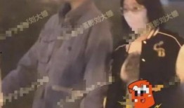 刘大锤最新爆料一览,揭秘娱乐圈幕后真相