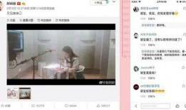 网友爆料的配音视频,揭秘幕后配音者神秘面纱