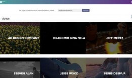 最火爆料视频素材网站,热门资源一网打尽！