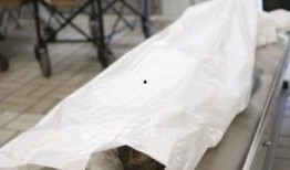 太平间真实爆料视频,真实爆料视频背后的惊悚真相