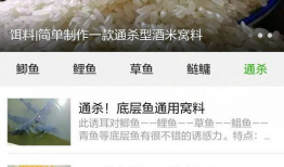 爆料钓饵真的有用吗视频,视频真相大揭秘，效果惊人！