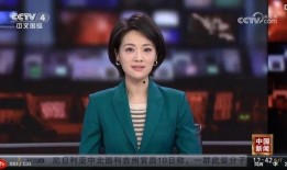 央视爆料孟阳的视频,揭秘其真实面目