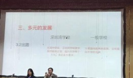 深圳南山王先生最新爆料,揭秘南山最新动态