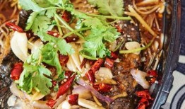 外卖爆料烤鱼视频大全下载,烤鱼视频大全，美味瞬间尽收眼底