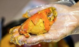 抖音网红前排吃瓜,揭秘娱乐圈幕后真相