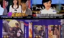 台湾的最新爆料是什么,揭秘岛内重大事件内幕