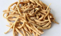酸豆角爆料视频大全图片,揭秘美食背后的故事