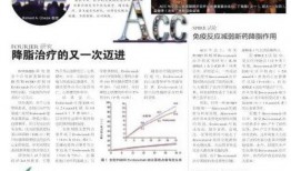今日十大头条新闻爆料,揭秘十大热点事件，聚焦社会焦点与民生关切