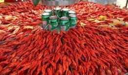 厦门龙虾爆料视频大全下载,一场海鲜盛宴的视觉盛宴