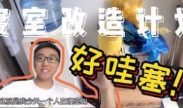 生活爆料 揭秘视频,视频背后的真实故事