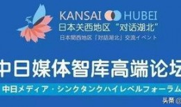 湖北媒体新闻爆料,重大事件引发社会关注