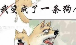 小说深度吃瓜免费阅读,揭秘小说世界里的秘密花园