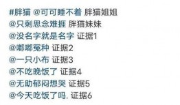 胖猫最新爆料网站,最新爆料网站深度解析