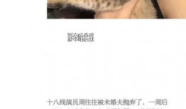 吃瓜娱乐圈系列小说推荐,娱乐圈幕后风云录