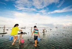海南赶海爆料网站大全视频,精彩视频一网打尽