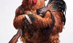 鹏哥爆料牛和鸡的视频在线观看,牛与鸡的神秘视频，在线观看一探究竟